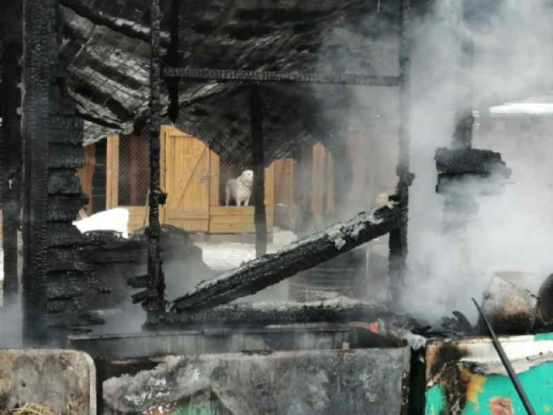 Новосибирец погиб в горящей даче