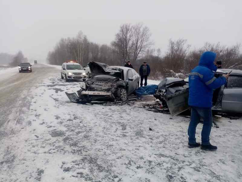 Пять человек пострадали в ДТП под Новосибирском: водителя вытаскивали спасатели