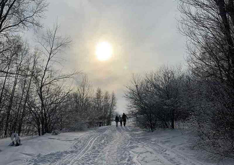 Потеплением и снегопадом завершатся новогодние выходные в Новосибирске