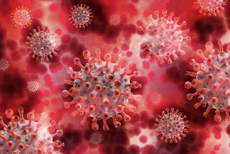 Снова девять новосибирцев умерли от коронавируса