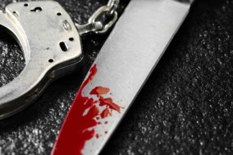 Споили, изрезали и задушили: новосибирцев осудят за зверское убийство девушки