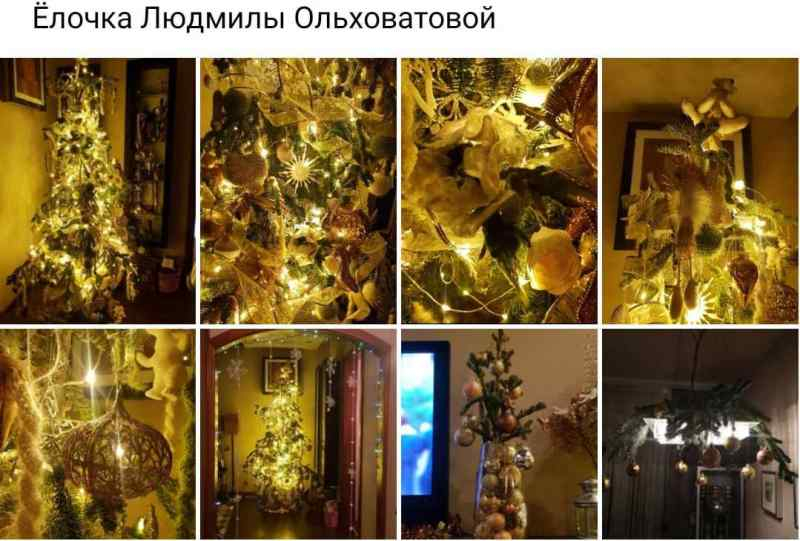 Учительница начальных классов нарядила самую красивую елку в Новосибирске