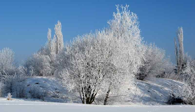 Морозы до -41 градуса задержатся в Новосибирской области