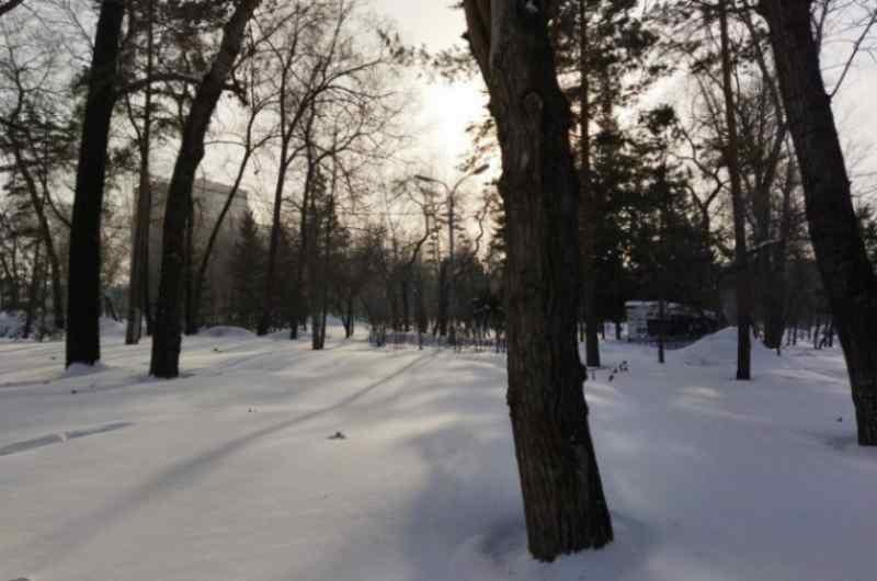 Морозы в Новосибирске ненадолго ослабнут