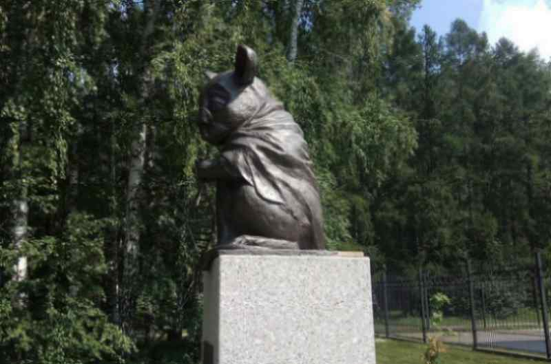 Мышь из Новосибирска попала в туристическую энциклопедию