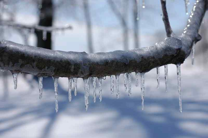Синоптики предсказали продление зимних холодов в Новосибирске