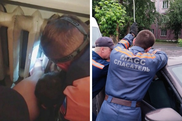 Доставали из батареи, машины и запертых квартир: в Новосибирске за сутки спасли пять малышей