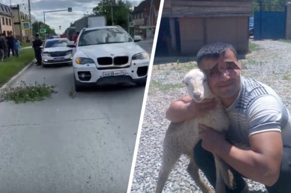 Новосибирский суд арестовал водителя BMW X6, сбившего насмерть ребенка на велосипеде