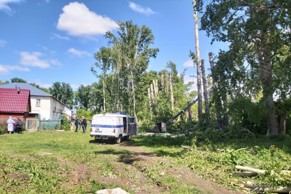 В Коченёво сорвалась люлька с рабочими, пилившими деревья, — погиб 24-летний парень