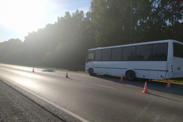Водитель автобуса вышел заменить колесо на новосибирской трассе и попал под машину