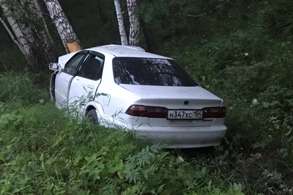 Водитель без прав въехал в дерево в Мошковском районе — мужчина погиб